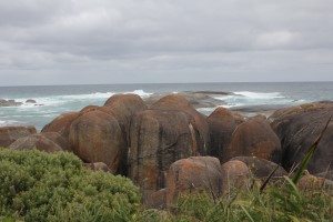 Elephant Rock