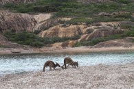 Lucky Bay