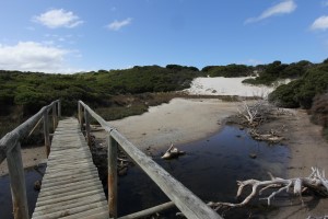 Brcke am Mileys Beach