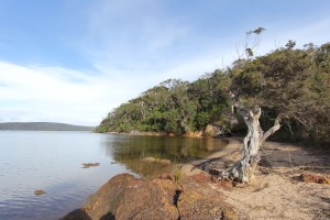 Nornalup Inlet