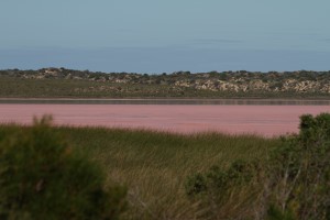 Pink Lake