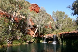 Fern Pool