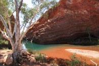 Hamersley Gorge