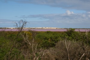 Pink Lake