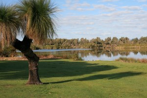 Wetland Trail