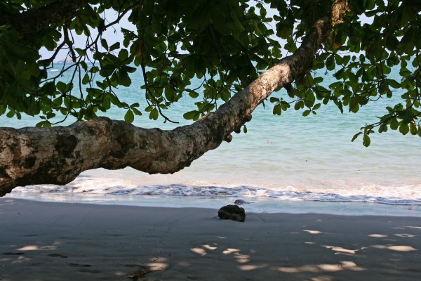 Parque Nacional Manuel Antonio