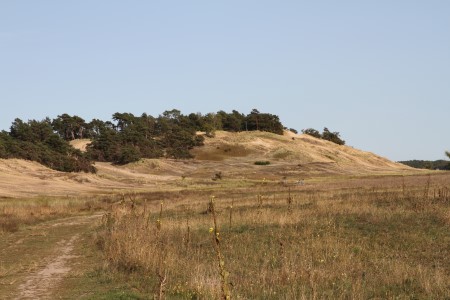 Binnendüne in Dömitz