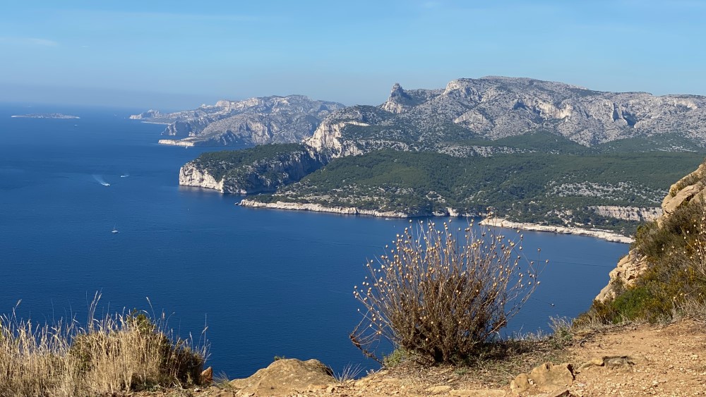 Cassis