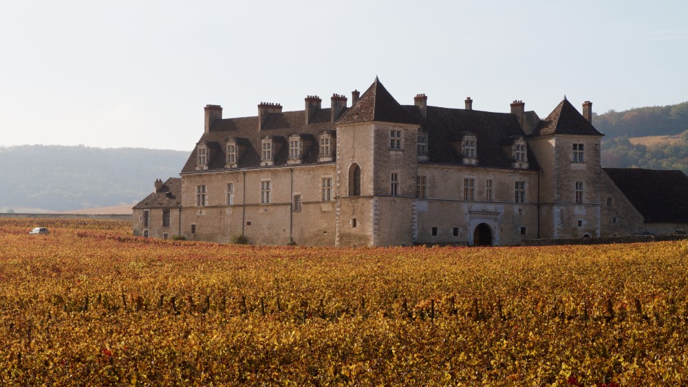 Clos de Vougeot