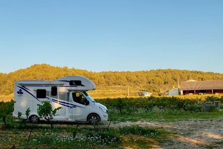 Stellplatz mitten im Weinberg