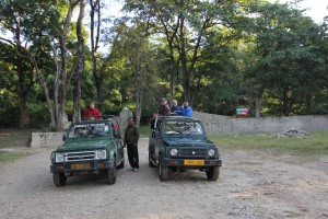 Unsere Jeeps im Corbett NP