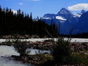 Am Icefield Parkway