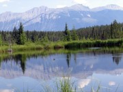 Cottonwood Slough