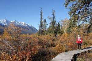 Wanderung am Dezadeash River