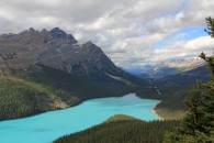 Peyto Lake