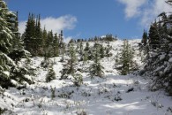 Schnee oberhalb des Edith Cavell