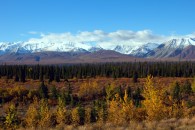 Indian Summer im Yukon