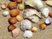 am Strand von Portosanto