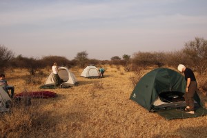 Camp mitten im Busch