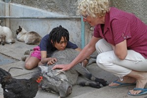 Sieglinde, Conny und das zahme	Warzenschwein