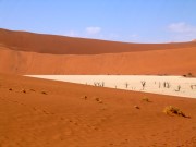 Dead Vlei