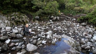 Bachberquerung auf dem Wilkies Pools Loop