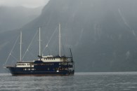 Fjordland Navigator