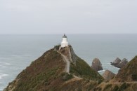 Leuchtturm am Nugget Point