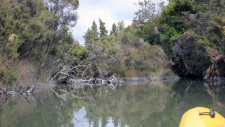 Kanufahrt in der Okarito Lagoon