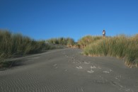 Sanddünen am Farewell Spit