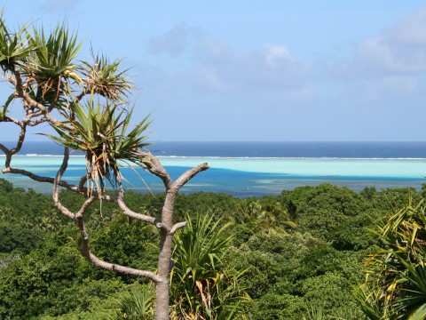 Meeresblick auf Palau