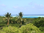 Blick über die Insel