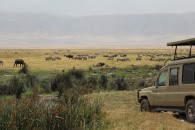 Ngorongoro Krater