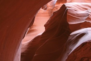 Schattenwolf im Antelope Canyon