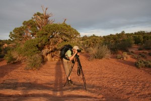 Abendstimmung am Big Horn Overlook