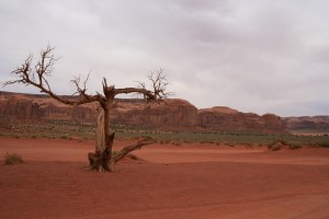 Impression im Monument Valley