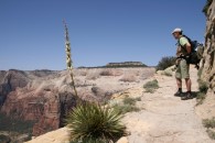 Zion NP