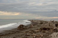 Dungeness Spit