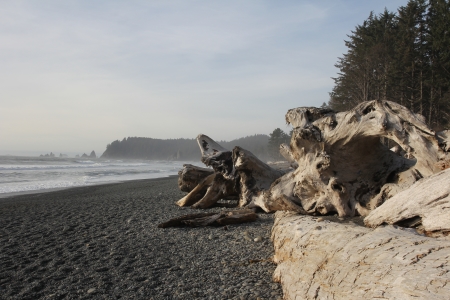 Rialto Beach am Abend